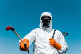 Real Estate Pest Inspections in Haskell, TX